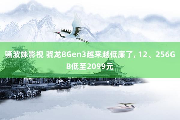 骚波妹影视 骁龙8Gen3越来越低廉了， 12、256GB低至2099元