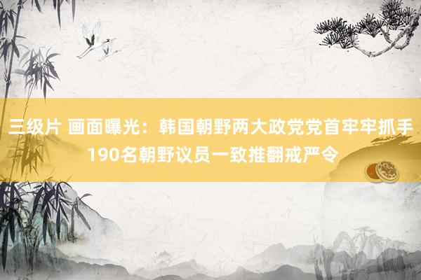 三级片 画面曝光：韩国朝野两大政党党首牢牢抓手 190名朝野议员一致推翻戒严令