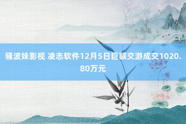 骚波妹影视 凌志软件12月5日巨额交游成交1020.80万元