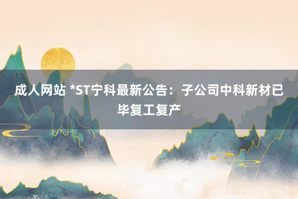 成人网站 *ST宁科最新公告：子公司中科新材已毕复工复产