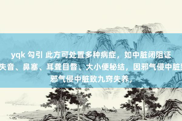 yqk 勾引 此方可处置多种病症，如中脏闭阻证，常见唇缓失音、鼻塞、耳聋目瞀、大小便秘结，因邪气侵中脏致九窍失养，