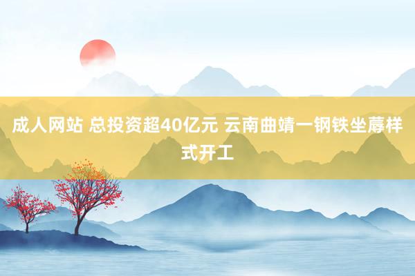 成人网站 总投资超40亿元 云南曲靖一钢铁坐蓐样式开工