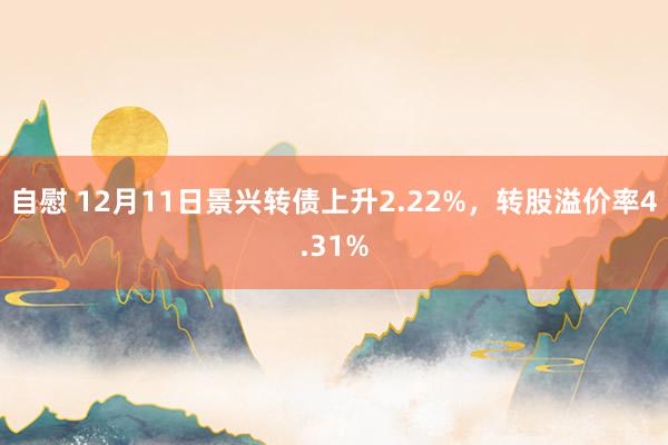 自慰 12月11日景兴转债上升2.22%，转股溢价率4.31%