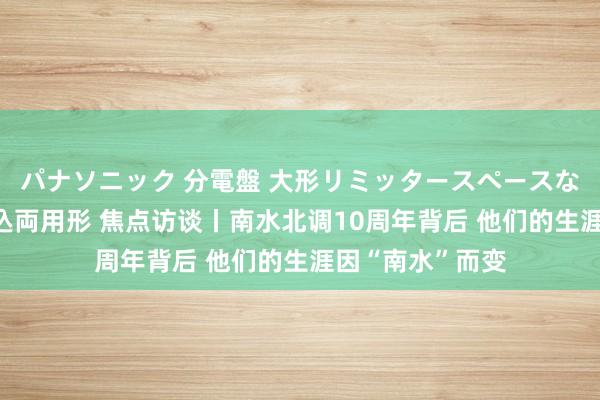 パナソニック 分電盤 大形リミッタースペースなし 露出・半埋込両用形 焦点访谈丨南水北调10周年背后 他们的生涯因“南水”而变