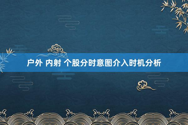 户外 内射 个股分时意图介入时机分析