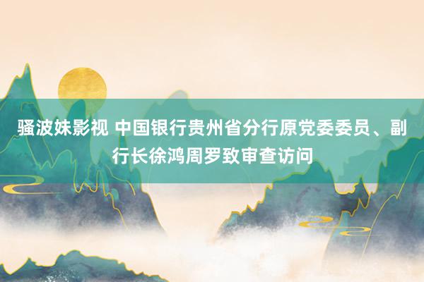 骚波妹影视 中国银行贵州省分行原党委委员、副行长徐鸿周罗致审查访问