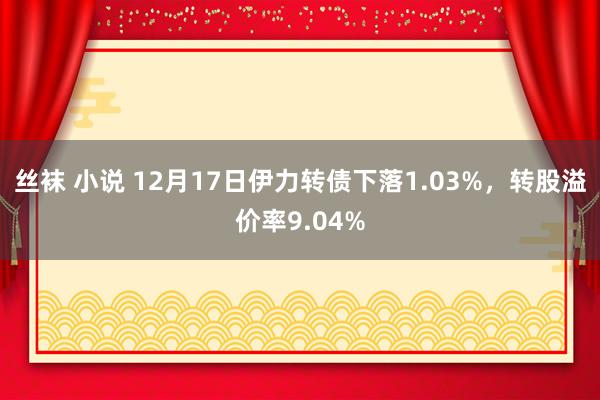 丝袜 小说 12月17日伊力转债下落1.03%，转股溢价率9.04%