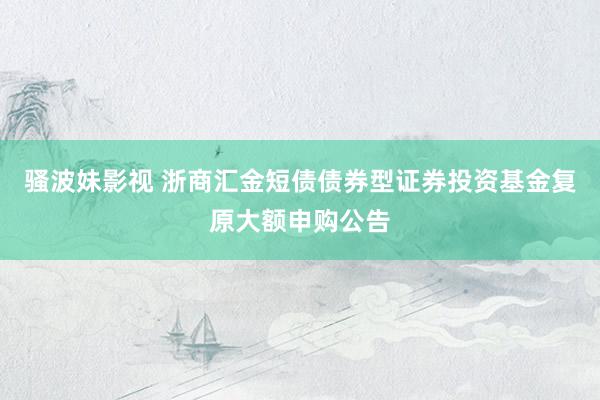 骚波妹影视 浙商汇金短债债券型证券投资基金复原大额申购公告