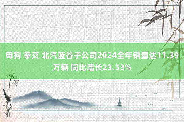 母狗 拳交 北汽蓝谷子公司2024全年销量达11.39万辆 同比增长23.53%