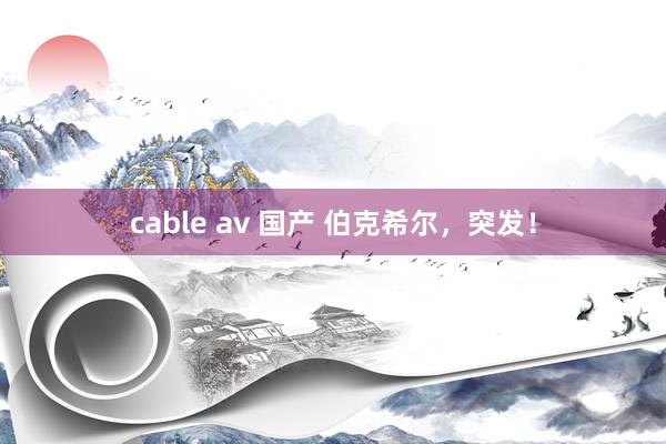 cable av 国产 伯克希尔，突发！