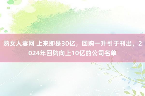 熟女人妻网 上来即是30亿，回购一升引于刊出，2024年回购向上10亿的公司名单