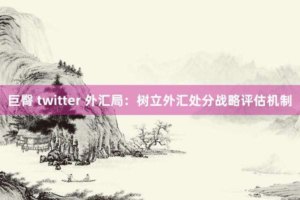 巨臀 twitter 外汇局：树立外汇处分战略评估机制