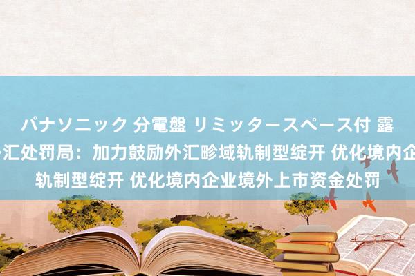 パナソニック 分電盤 リミッタースペース付 露出・半埋込両用形 外汇处罚局：加力鼓励外汇畛域轨制型绽开 优化境内企业境外上市资金处罚