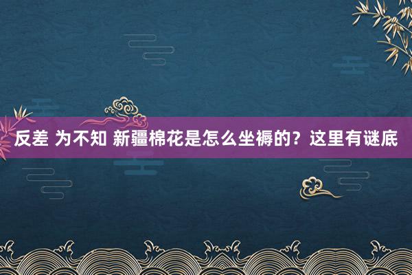 反差 为不知 新疆棉花是怎么坐褥的？这里有谜底