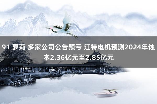 91 萝莉 多家公司公告预亏 江特电机预测2024年蚀本2.36亿元至2.85亿元