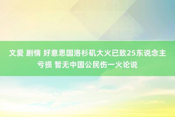 文爱 剧情 好意思国洛杉矶大火已致25东说念主亏损 暂无中国公民伤一火论说