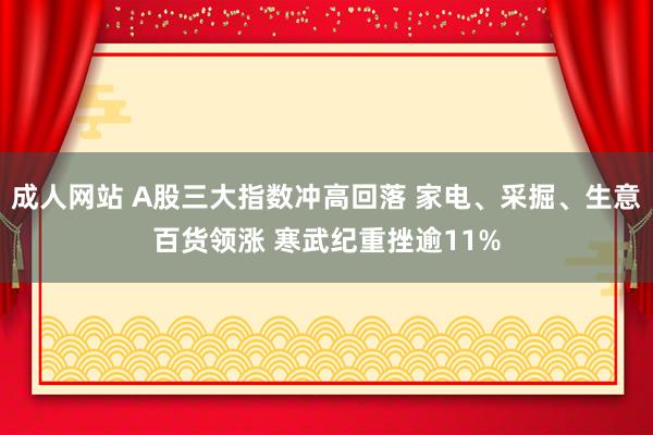 成人网站 A股三大指数冲高回落 家电、采掘、生意百货领涨 寒武纪重挫逾11%